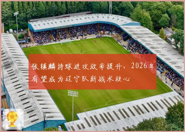 张镇麟持球进攻效率提升，2026年有望成为辽宁队新战术核心